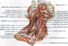 f1p595ps27xyz五-kaiyun中国
